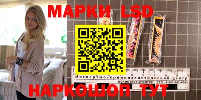 spice Кунгур