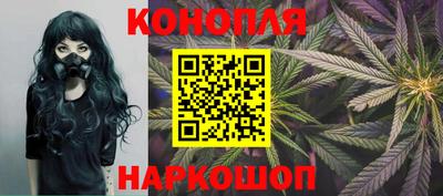spice Кунгур