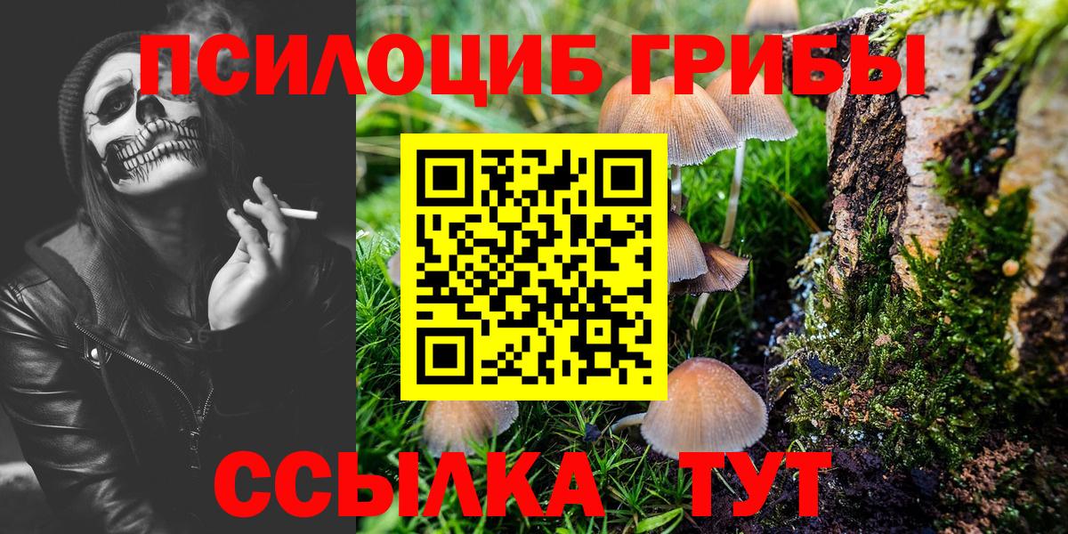 Галлюциногенные грибы Magic Shrooms Дзержинский