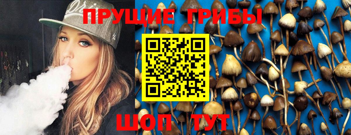Дзержинский  Псилоцибиновые грибы GOLDEN TEACHER  Вход с VPN 